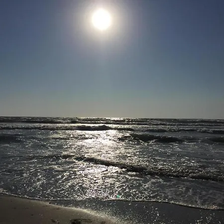 Mamaia-summerland *
